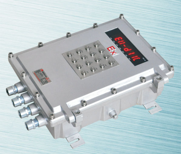 防爆型电子称重仪表Ex-D11-C 防爆型电子称重仪表Ex-D11-C